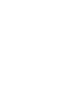 Custom made sustainable icon.